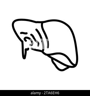 Saignement parenchymateux de l'icône de ligne noire du foie. Blessures. Pictogramme pour page web, application mobile, promo. Illustration de Vecteur