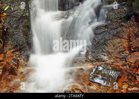 Une petite cascade près du pont de Fingle, parc national de Dartmoor, Devon, Grande-Bretagne. Banque D'Images