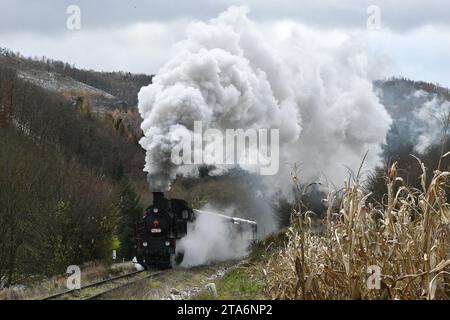 St. Nicholas, diables et anges montent en locomotive à vapeur 423,009 (à partir de l'année 1922) de Ceska Trebova à Skalice nad Svitavou, à Chornice et retour à Banque D'Images