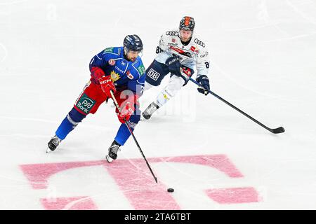 Eishockey DEL - Düsseldorfer EG vs ERC Ingolstadt am 26.11.2023 im PSD Bank Dome in Düsseldorf Düsseldorfs Sinan Akdag (Nr.7) gegen Ingolstadts Daniel Pietta (Nr.86) Foto : osnapix Banque D'Images