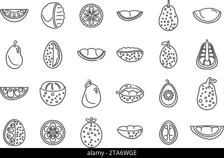 Les icônes de jackfruit définissent le vecteur de contour. Végétalien tropical exotique. Saveur de viande Illustration de Vecteur