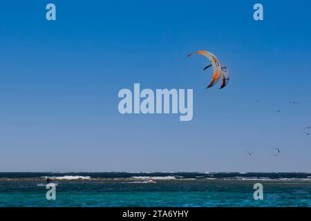 Kite Surfers profitant du vent et des vagues des Caraïbes près de Happy Island au large de Union Island, avec Blue Sky, Seagulls et Waves. Banque D'Images