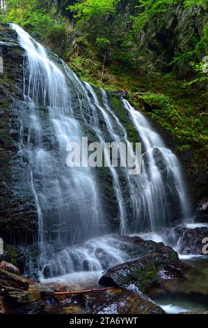 Les chutes Moss Glen tombent gracieusement en cascade sur un rebord de cascade dans une forêt près de Stowe Vermont Banque D'Images