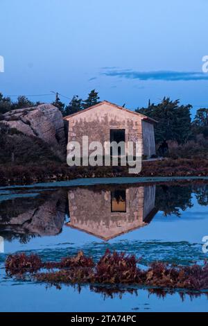 Série de photos prises en fin de journée à l'automne à à Peryac de mer (Aude) et au bord de l'étang de Bages-Sigean Banque D'Images