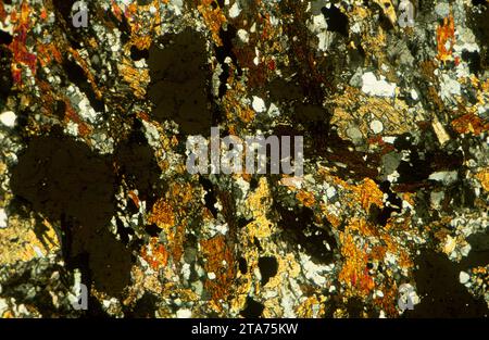 Amphibolite au grenat. L’amphibolite est une roche métamorphique riche en amphiboles. Photomicrographe, section mince, lumière polarisée. Banque D'Images