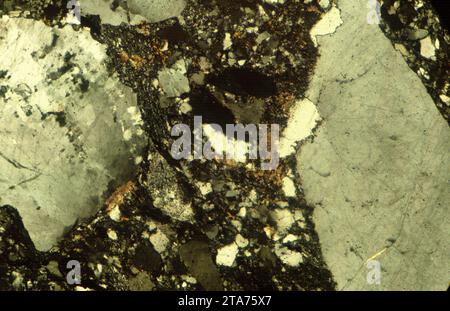 La brèche (microbreccia) est une roche sédimentaire. Photomicrographe, section mince, lumière polarisée. Banque D'Images