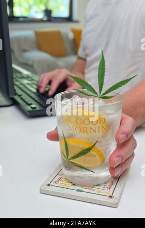 Verre de cocktail frais avec des tranches de citron et des feuilles de chanvre au travail Banque D'Images