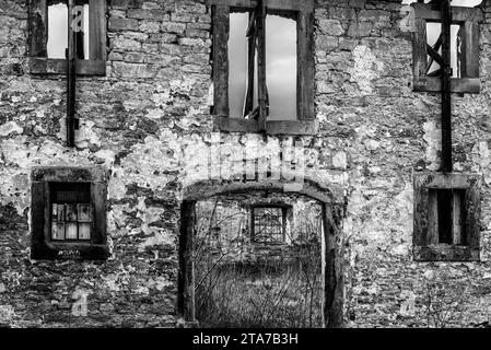 Château de Katlenburg, ancienne stalle pour animaux, Katlenburg-Lindau, district de Northeim, Basse-Saxe, Allemagne Banque D'Images