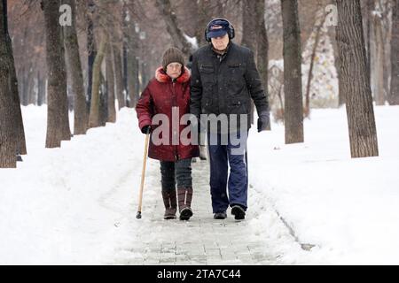 Femme âgée avec canne et homme marchant dans le parc d'hiver. Vieux couple en vêtements chauds par temps de neige Banque D'Images