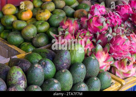 Fruits tropicaux, avocats et fruits du dragon dans un étal du marché du Costa Rica Banque D'Images