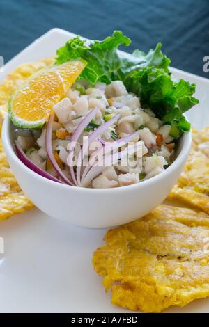 Bol avec ceviche de poisson et gâteaux de maïs dans un restaurant au Costa Rica Banque D'Images