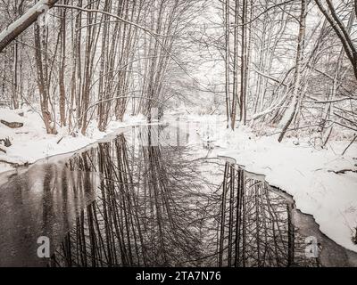 Vue panoramique de la rivière au milieu des arbres dans la forêt pendant l'hiver Banque D'Images
