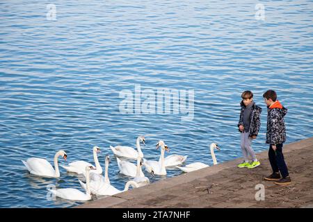 Belgrade, Serbie - 02 décembre 2020 : deux garçons nourrissant des cygnes depuis la promenade de la rive du fleuve, un jour ensoleillé d'hiver Banque D'Images