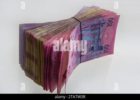 Lots de billets de banque hryvnia ukrainiens. Billets de banque hryvnia ukrainiens, grande quantité en paquets. Banque D'Images