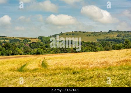 Une vue estivale sur Findon Village et la colline de l'âge de fer fort de Cissbury Ring dans le parc national de South Downs, West Sussex, Royaume-Uni. Banque D'Images