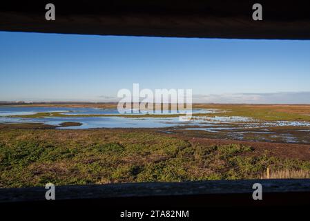 Vue sur le marais salé de l'estuaire de l'Escaut occidental à la réserve naturelle Verdronken Land van Saeftinghe depuis la cachette d'oiseau à Emmadorp, pays-Bas Banque D'Images