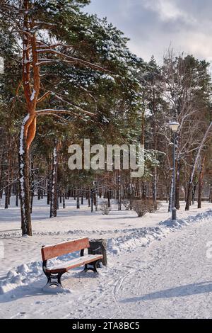 Banc dans le parc avec des sapins et des pins en chute libre après la charge de traîneaux et de la neige épaisse à l'arrière-plan. Rue d'hiver enneigée dans une ville. Prévisions météorologiques Banque D'Images