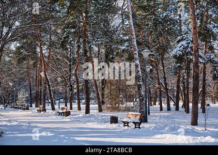 Banc dans le parc avec des sapins et des pins en chute libre après la charge de traîneaux et de la neige épaisse à l'arrière-plan. Rue d'hiver enneigée dans une ville. Prévisions météorologiques Banque D'Images