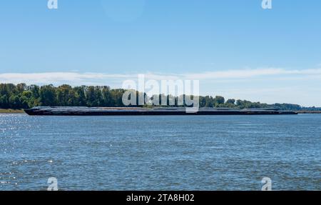 Grand remorqueur poussant des rangées de barges avec des produits céréaliers jusqu'au fleuve Mississippi au sud du Caire dans l'Illinois Banque D'Images