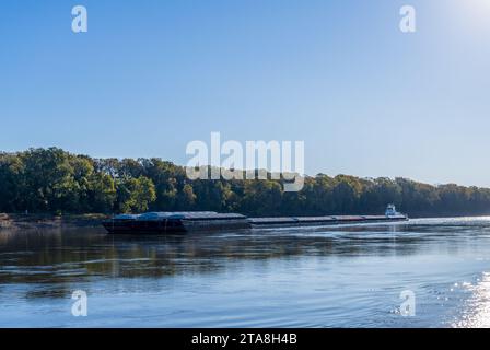 Grand remorqueur poussant des rangées de barges avec des produits céréaliers le long du fleuve Mississippi au sud de St Louis dans le Missouri Banque D'Images