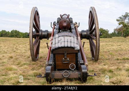 canon hongrois du 19e siècle de 6 livres Banque D'Images