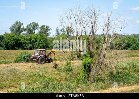 Tracteur de pelouse travaillant sur une rive de ruisseau à côté d'un arbre mort dans le soleil d'été Banque D'Images