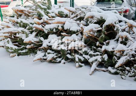 Une décharge remplie d'arbres de Noël jetés, un spectacle courant après la saison des fêtes. Banque D'Images