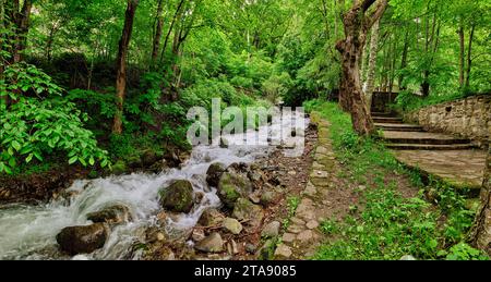 Ruisseau dans les montagnes de Rila, Bulgarie Banque D'Images