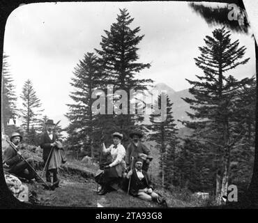 Vue à travers les conifères du Puy Griou ou du Puy Mary YORYM-TA0393. Banque D'Images