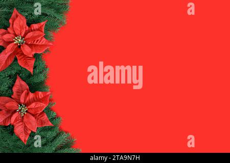 Fond rouge de Noël avec des branches de sapin et des fleurs de poinsettia. Carte de voeux du nouvel an avec espace de copie. Vue d'en haut. Banque D'Images