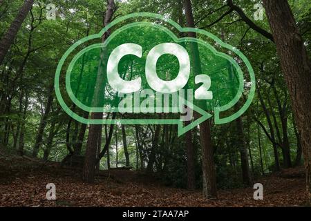 Concept d'air clair. Inscription CO2 dans l'illustration de nuage avec flèche et belle forêt, vue à angle bas Banque D'Images