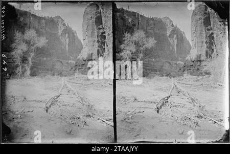 Virgin River. West Fork, Mookvoutuweap ou peu de Sion, la fin de l'ancien nos 445, 446, 649. Banque D'Images