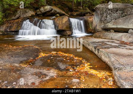 Feuillage d'automne et chute d'eau sur la rivière Bear, Grafton Notch State Park, Maine Banque D'Images