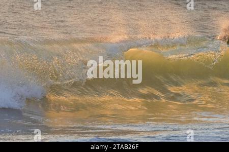 La lumière du lever du soleil brille à travers une vague, Delaware Seashore State Park, Delaware Banque D'Images