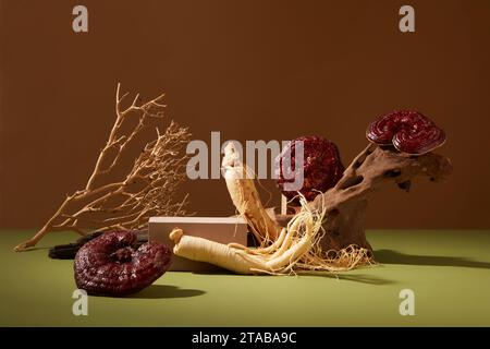 Concept pour la publicité des produits de la médecine traditionnelle au coréen. Champignons Ganoderma et racines de ginseng décorées sur fond brun et vert avec Banque D'Images