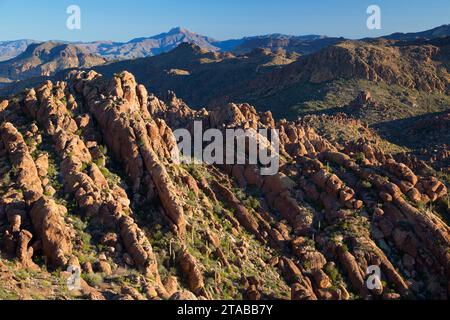 Vue du sentier Peralta, Superstition Désert, forêt nationale de Tonto, Arizona Banque D'Images