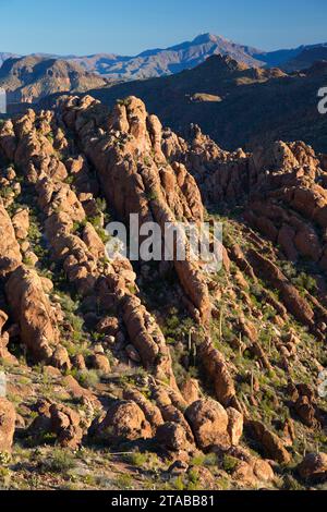 Vue du sentier Peralta, Superstition Désert, forêt nationale de Tonto, Arizona Banque D'Images