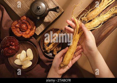 Scène pour la publicité de la médecine traditionnelle chinoise. Mains d'une femme tenant une racine de ginseng, décorée d'un plateau en bois contenant du ginseng rouge et du lingz Banque D'Images