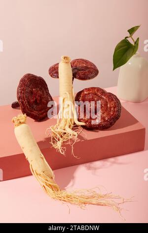 Concept de phytothérapie pour produit publicitaire. Racines de ginseng et champignon ganoderma affichés sur des podiums rouges avec un petit vase sur fond pastel. N Banque D'Images