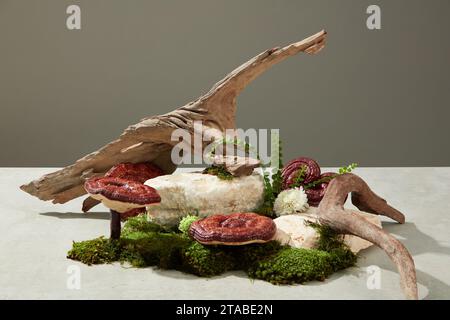 Concept pour produit médical avec ingrédient de champignon Lingzhi. Blocs de pierre décorés de brindilles, mousse et champignon ganoderma sur fond gris. E Banque D'Images