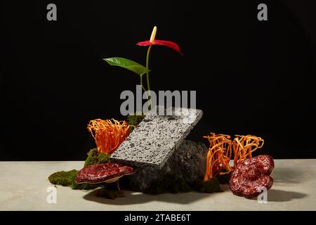 Prenez des photos publicitaires pour le produit avec ingrédient à base de plantes. Sur fond noir, champignon ganoderma et cordyceps frais décorés de pierre, mousse Banque D'Images