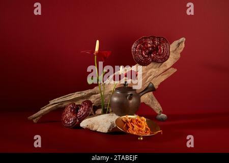 Style minimal, photo publicitaire pour le produit avec des ingrédients à base de plantes. Cordyceps et champignon lingzhi décoré de brindille sèche et de fleur sur backgro rouge Banque D'Images