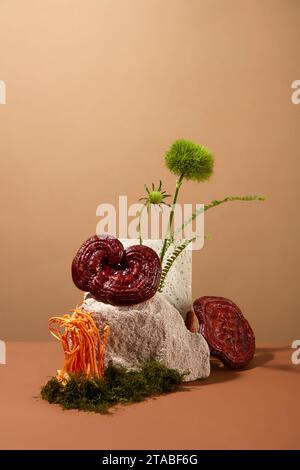 Concept minimal pour le produit publicitaire avec ingrédient à base de plantes. Champignon Lingzhi et cordyceps affichés sur la pierre avec mousse verte sur fond brun. Banque D'Images