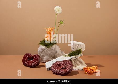 Sur fond brun, cordyceps et champignon ganoderma décorés de pierres, mousse et fleur. Cordyceps et Ganoderma possèdent tous deux des nutri riches Banque D'Images