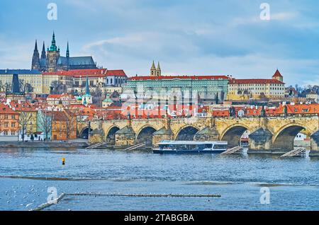 Les mouettes sur la rivière Vltava contre le pont Charles et la cathédrale Saint-Guy, Prague, Tchéquie Banque D'Images