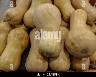 Mise au point sélective de citrouille Butternut disposés en pile les uns sur les autres Banque D'Images