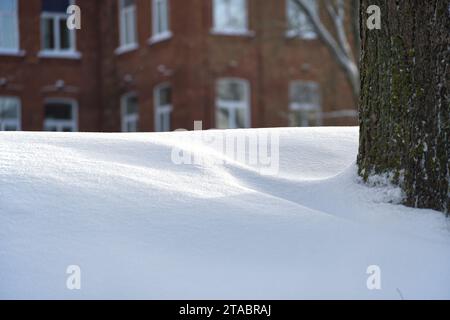 Scène hivernale tranquille avec une cour couverte de neige et un grand arbre devant un bâtiment en briques Banque D'Images