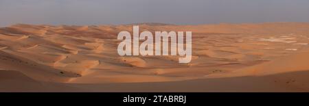 Grand panorama de dunes de sable avec différentes couleurs, de RUB Al Khali, eau Banque D'Images