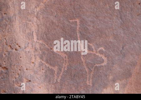 Pétroglyphes (sculptures rupestres anciennes) dans une région désertique près d'Assouan, en Égypte Banque D'Images