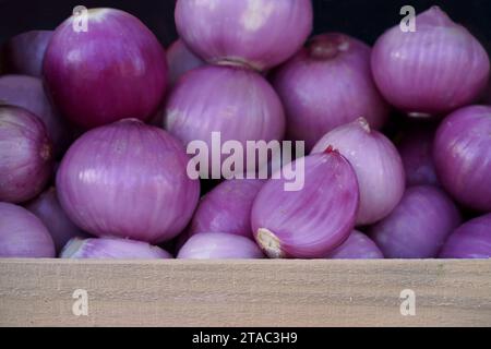 Les oignons rouges peuvent être achetés sur votre marché local. Oignons rouges frais vendus en supermarché. Banque D'Images